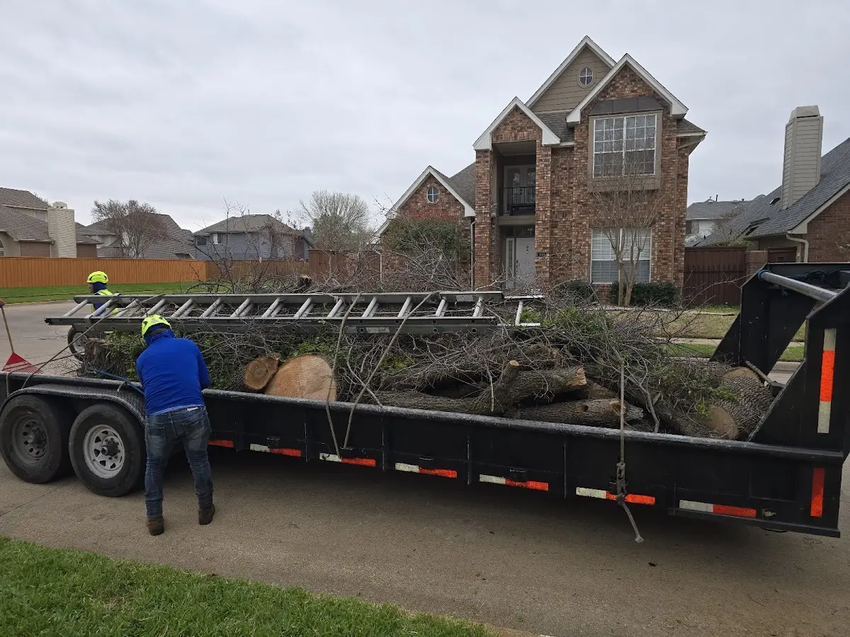 Expert Crown Reduction with proper safety equipment in Round Lake